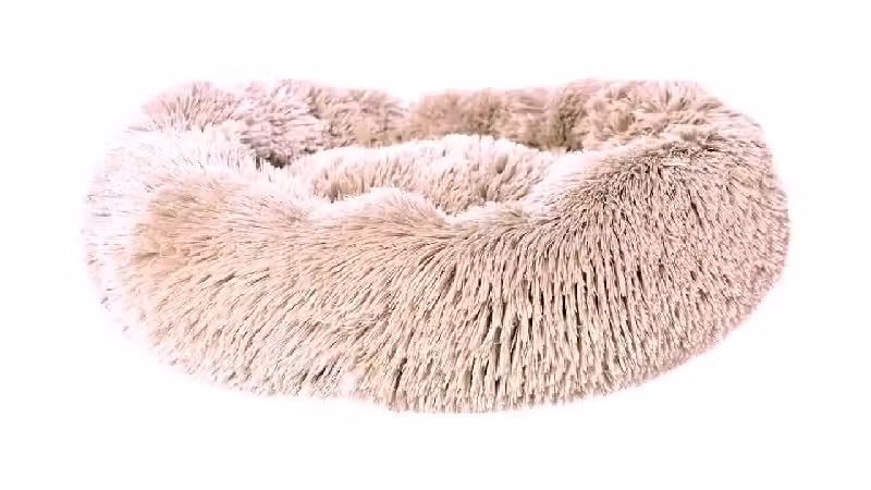 Melhor Cama para Gato: 10 Modelos para Conforto Total