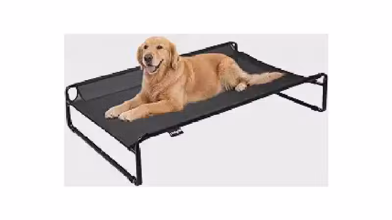 Melhor Cama Suspensa para Cachorro: Guia Completo