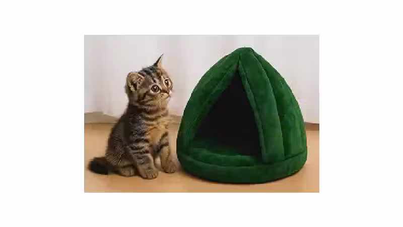 Melhor Caminha para Yorkshire: Conforto e Segurança!