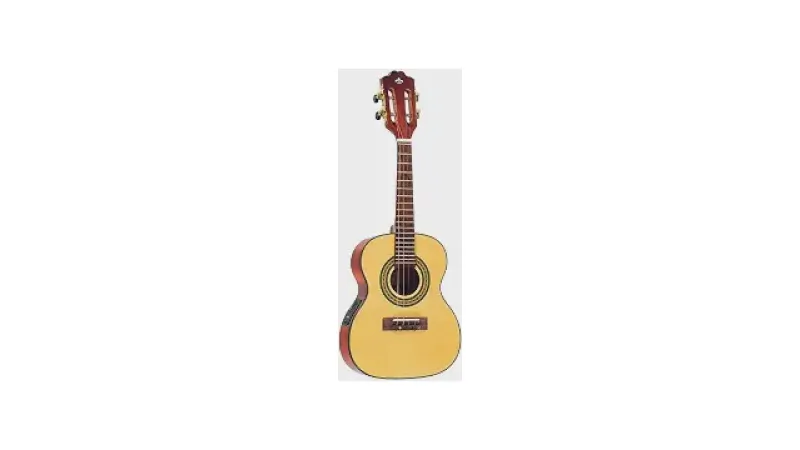 Melhor Cavaquinho Elétrico: Qual o Ideal Para Você?