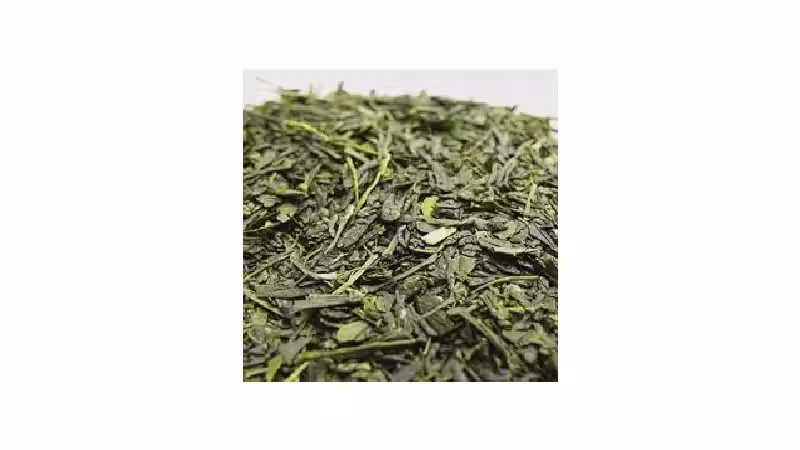 Melhor Chá Verde do Mundo: Guia Completo e Premium