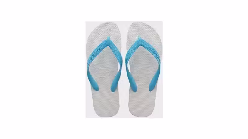 Melhor Chinelo Havaianas: Conforto e Estilo para o Dia a Dia!