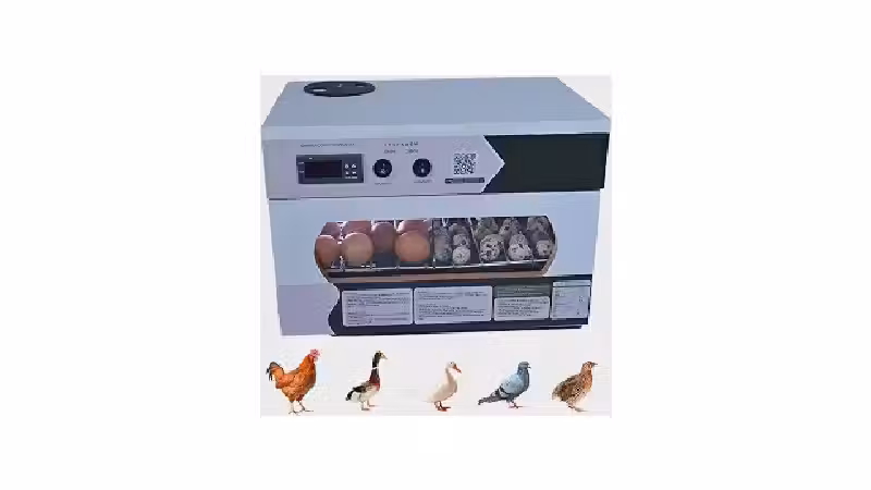 Melhor Chocadeira para 40 Ovos: Guia Essencial