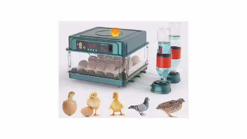 Melhor Chocadeira para Comprar: Guia Completo e Prático