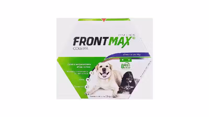 Melhor Coleira para Cachorro de Pelo Longo: Guia Definitivo