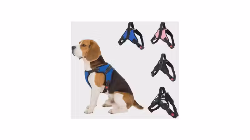 Melhor Coleira para Cachorro Pequeno: Guia Essencial