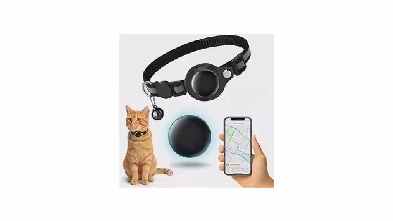 Melhor Coleira Rastreadora para Gatos: GPS e Segurança