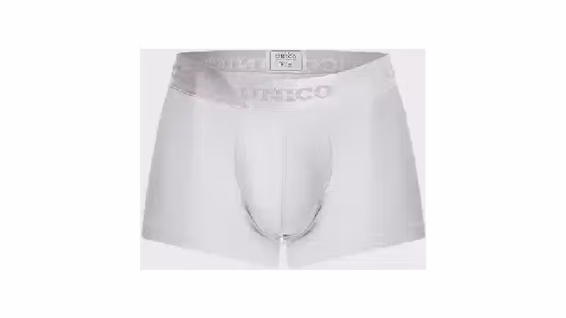 Melhor Cueca do Mundo: Conforto e Suporte Para Seu Dia