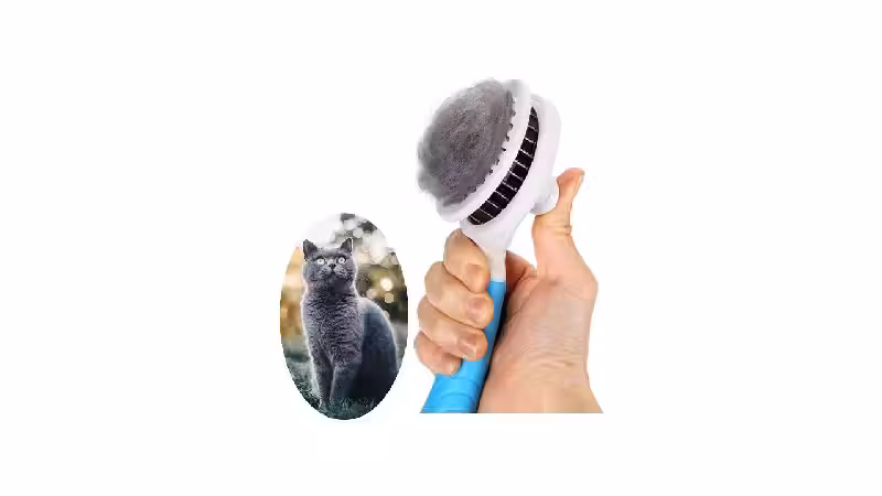 Melhor Escova para Gato: 10 Modelos para Pelagem
