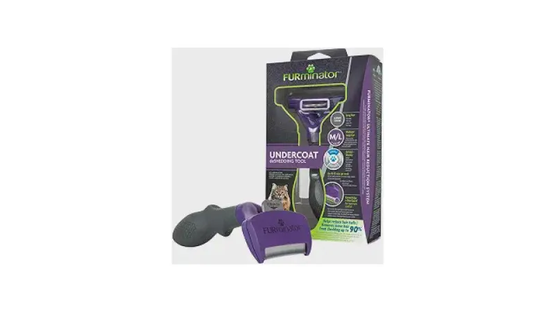 Melhor Escova para Gatos Pelo Longo: Guia Essencial
