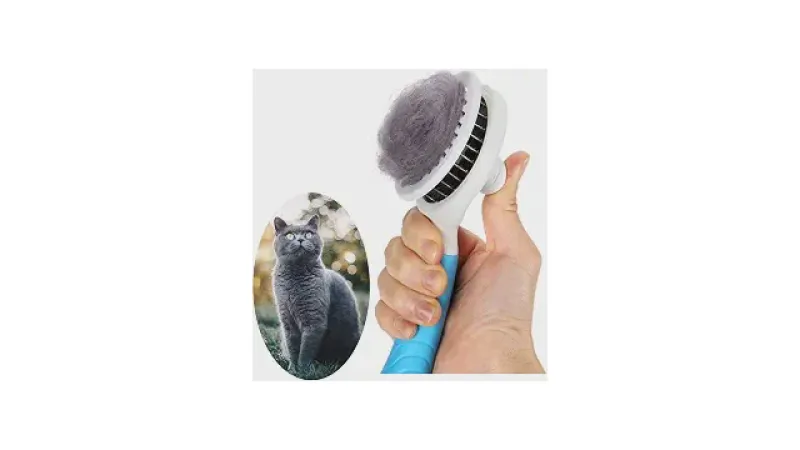 Melhor Escova para Pentear Gatos: Guia Completo!
