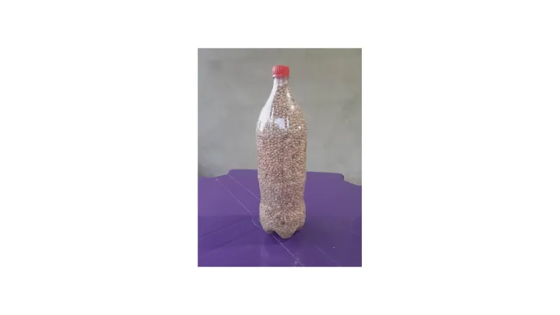 Melhor Feijão para Baião de Dois: Qual Grão Usar?