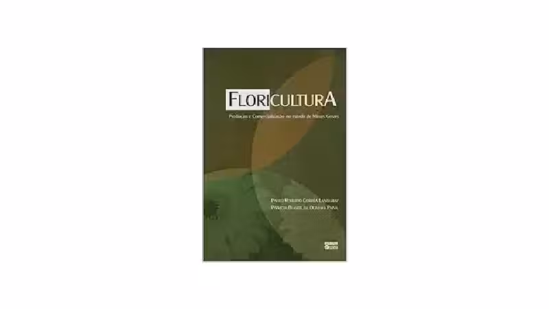 Melhor Floricultura de Salvador: Encontre Arranjos Perfeitos