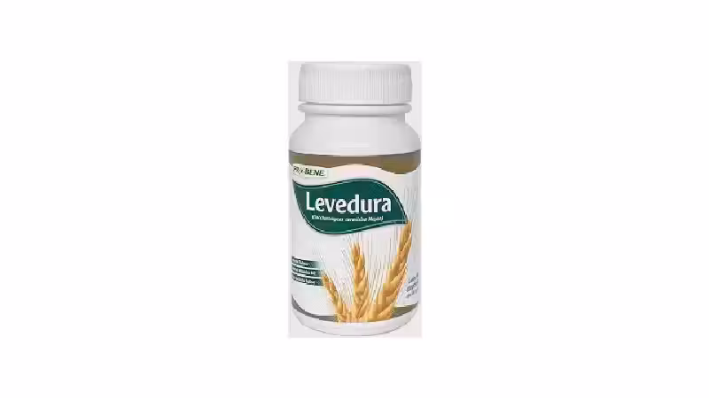Melhor Levedura de Cerveja: Nutrição Completa para Sua Saúde