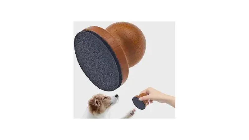 Melhor Lixa de Unha para Cachorro: Guia para Patas Saudáveis