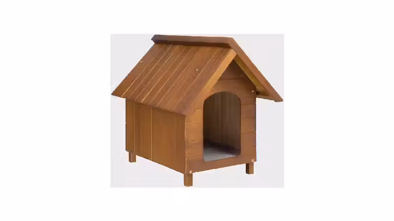 Melhor Madeira para Casa de Cachorro: Guia Definitivo