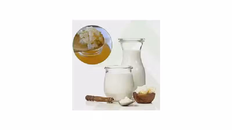 Melhor Marca de Leite Fermentado: Guia Completo e Opções Premium