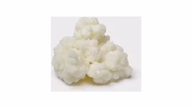 Melhor Marca de Leite para Kefir: Guia Essencial
