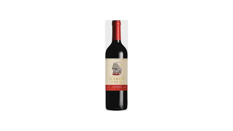 Melhor Marca de Vinho Chileno: Descubra os Tintos e Brancos Premium