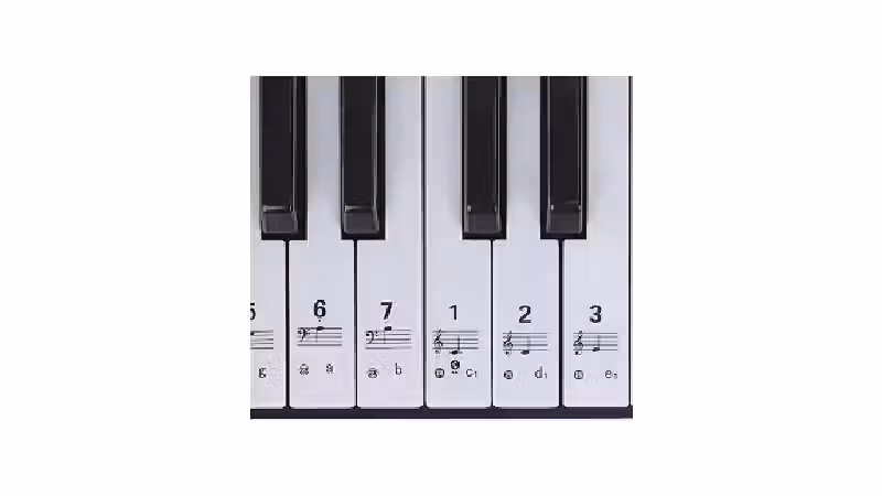 Melhor Marca para Teclado Musical: Acessórios Essenciais Para Iniciantes