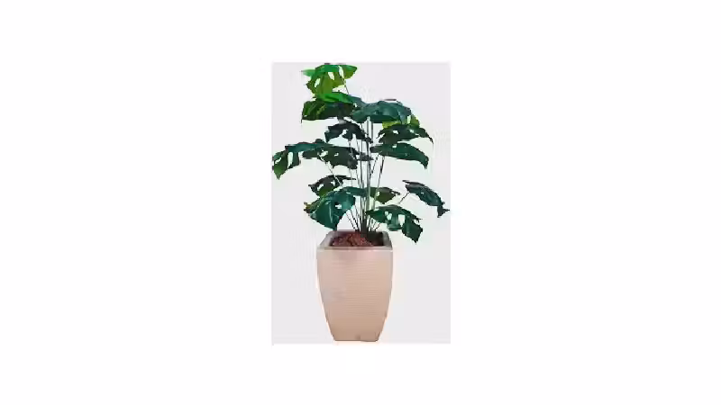 Melhor Planta Artificial para Sala: 5 Opções Realistas