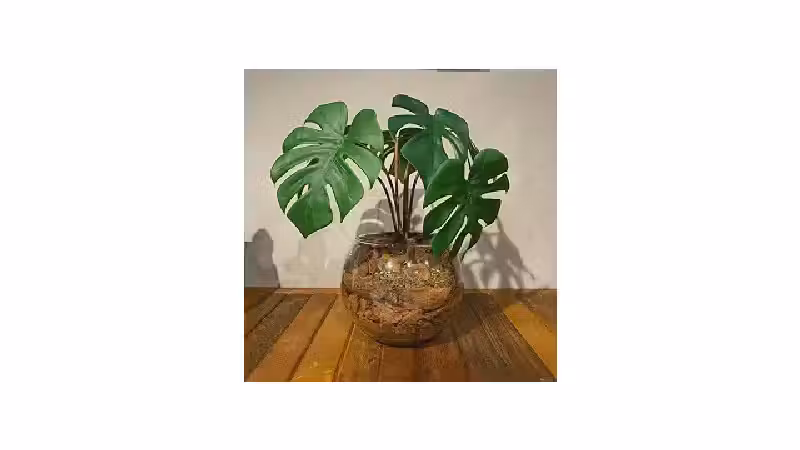 Melhor Planta para Mesa de Jantar: Arranjos Artificiais Elegantes