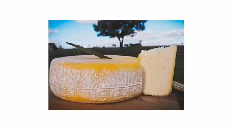 Melhor Queijo Minas Frescal: Guia Essencial e Sabores Únicos