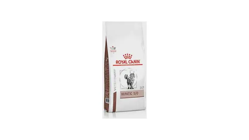 Melhor Ração para Gato com Pancreatite: Guia Essencial