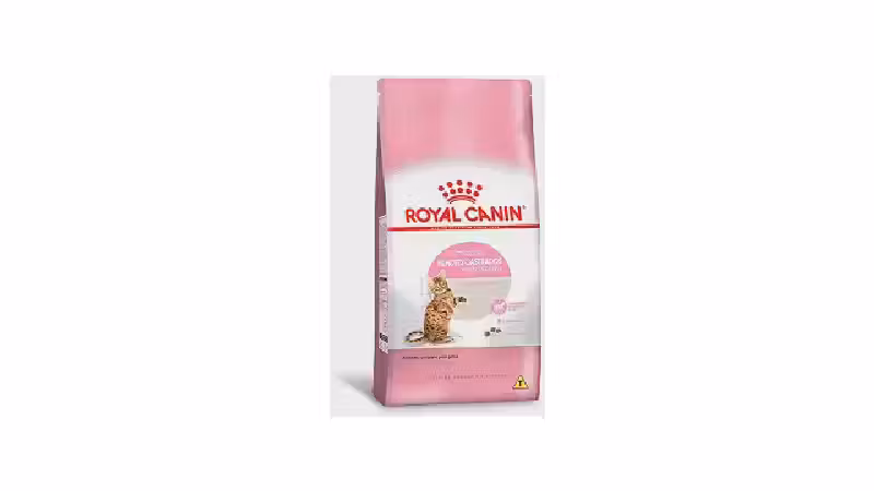 Melhor Ração para Gato Filhote Castrado: Nutrição Essencial