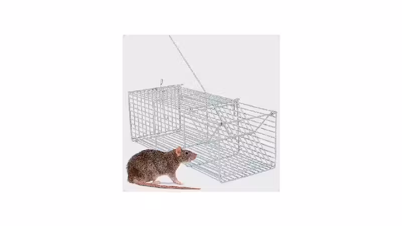 Melhor Ratoeira do Mundo: Guia de Escolha e Testes