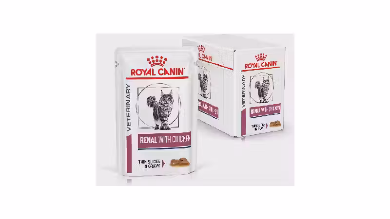 Melhor Sachê para Gato Renal: Opções Veterinárias Essenciais