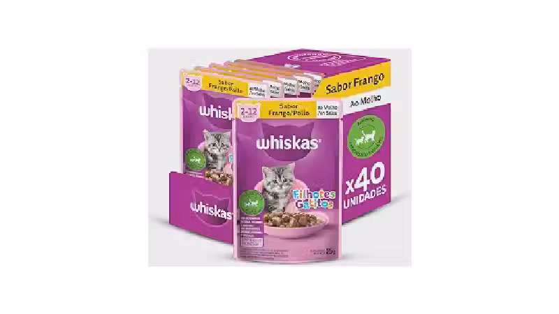 Melhor Sachê para Gatos Filhotes: Nutrição Essencial