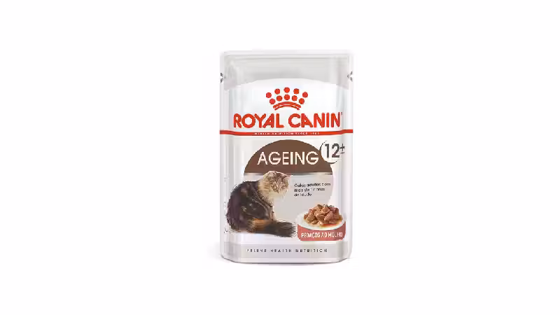 Melhor Sachê para Gatos Idosos: Nutrição Essencial para Longevidade