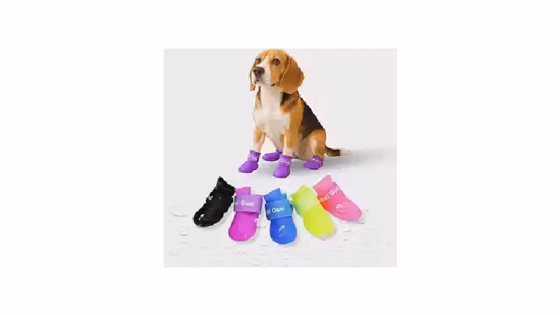 Melhor Sapatinho para Cachorro: Proteção e Conforto para Seu Pet!