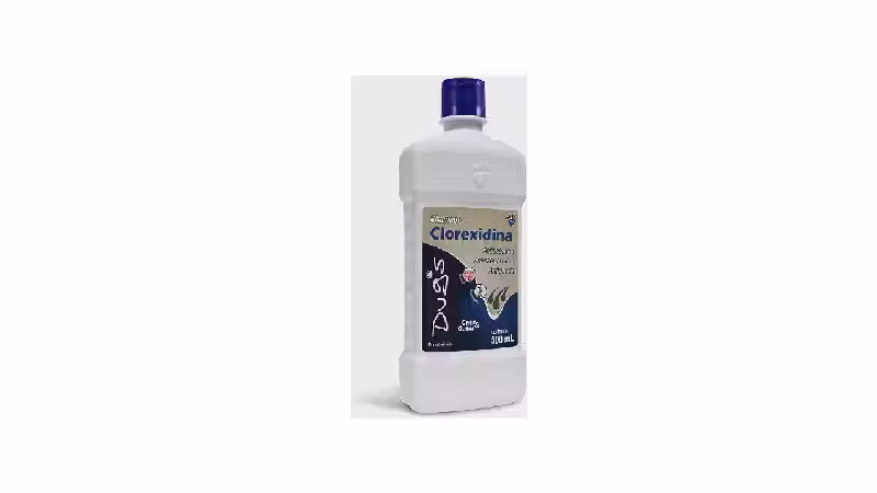 Melhor Shampoo Antiqueda para Cachorro: 7 Opções com Clorexidina