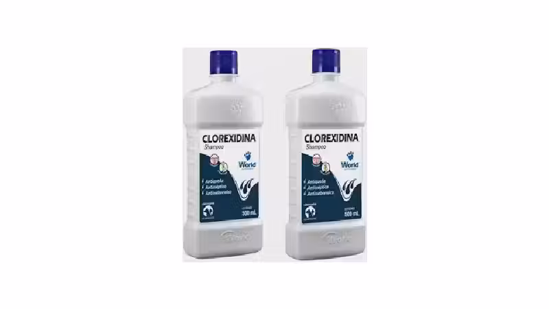 Melhor Shampoo e Condicionador para Cachorro com dermatite: Guia Essencial