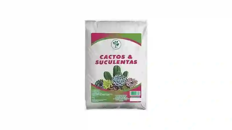 Melhor Solo para Suculentas: Guia Essencial para o Cultivo Perfeito!