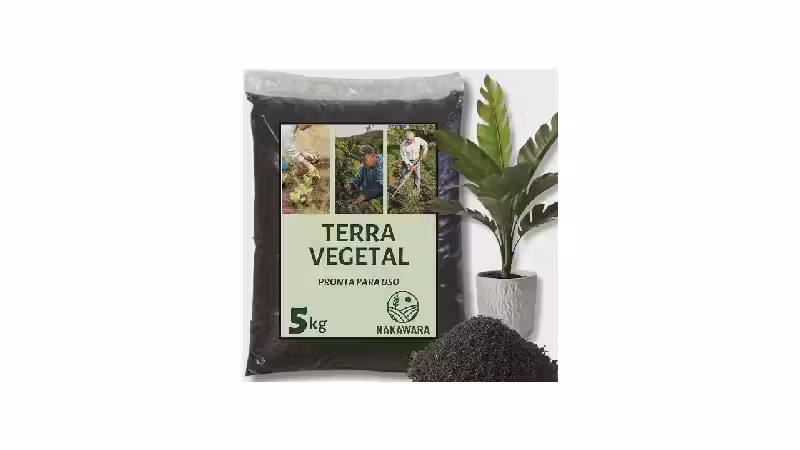 Melhor Substrato para Plantas: 10 Opções de Alta Nutrição