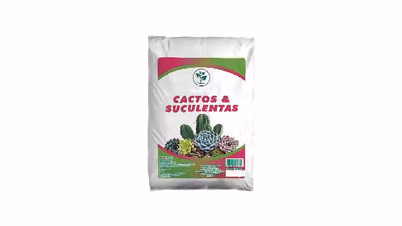 Melhor Terra para Suculentas: Drenagem e Nutrição Essenciais