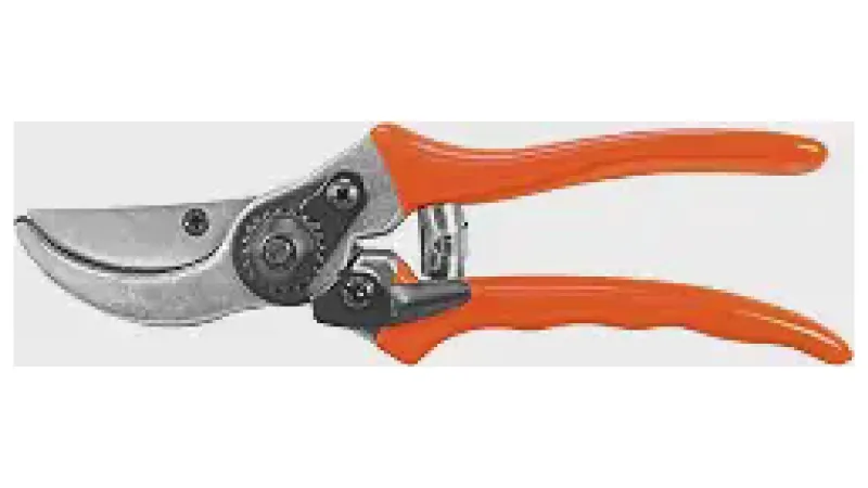 Melhor Tesoura de Poda Profissional: Qual a Mais Resistente?