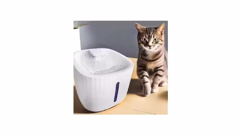 Melhor Tipo de Bebedouro para Gatos: Fontes Silenciosas