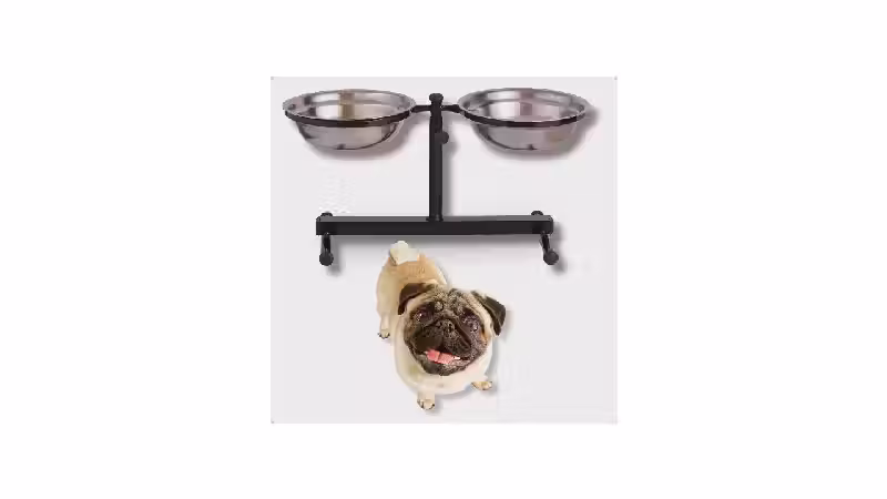 Melhor Tipo de Comedouro para Cachorro: Escolha Ideal!