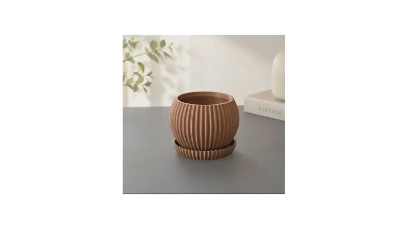 Melhor Tipo de Vaso para Suculentas: Guia Essencial