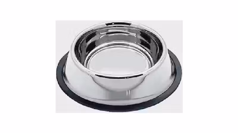 Melhor Vasilha para Caes: Inox, Elevada ou Dupla?