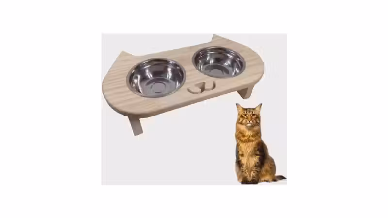 Melhor Vasilha para Gato: 10 Modelos Ergonômicos