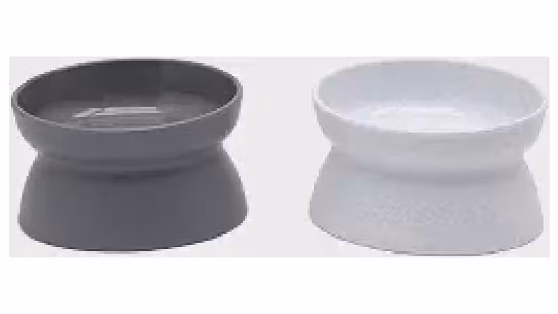 Melhor Vasilha para Gatos: Guia Essencial para Alimentação Segura