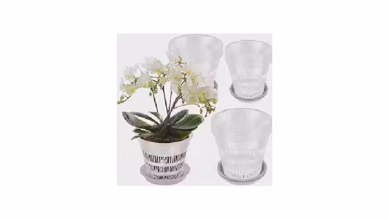 Melhor Vaso para Orquídea Phalaenopsis: Escolha Ideal