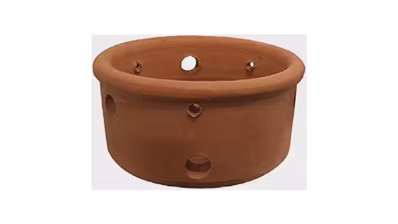 Melhor Vaso para Orquídea: 10 Modelos com Drenagem Superior