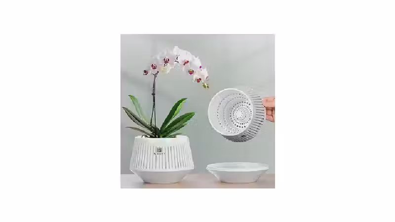 Melhor Vaso para Orquídeas Vanda: Opções com Boa Drenagem e Circulação