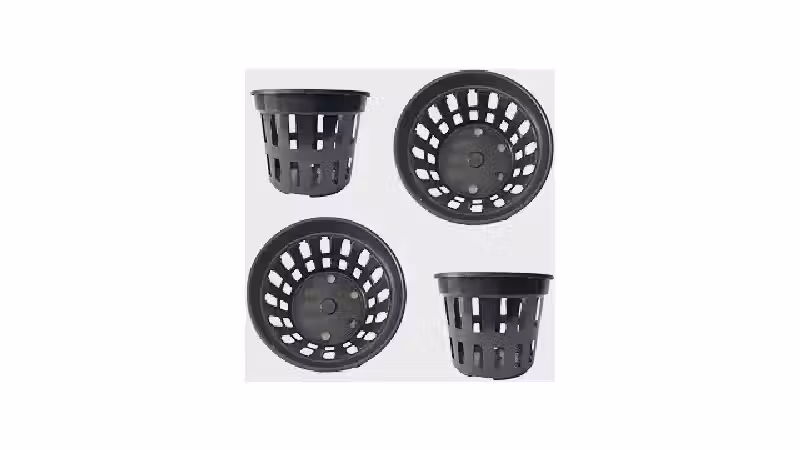 Melhor Vaso para Plantar Flor de Maio: Guia Prático
